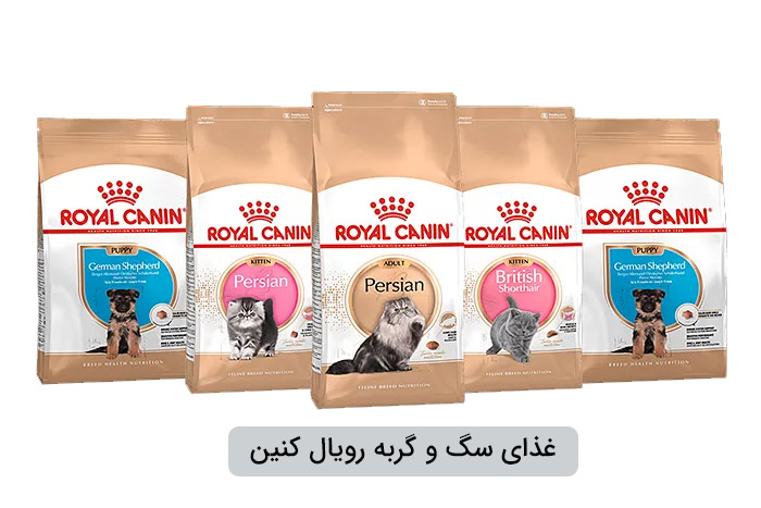 غذای سگ و گربه رویال کنین