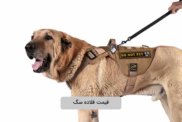 قیمت انواع قلاده سگ