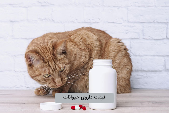 قیمت خرید داروی حیوانات