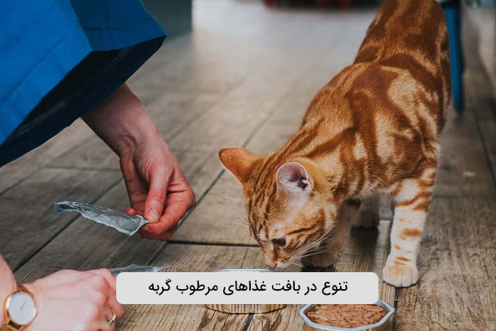 انواع بافت های غذای مرطوب گربه