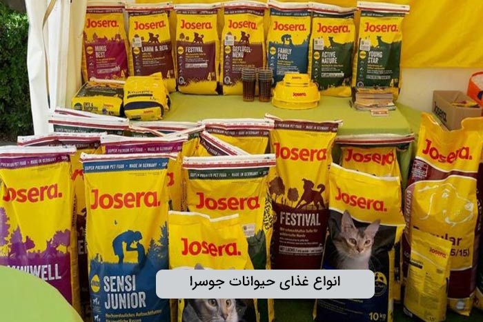 تنوع غذایی برند جوسرا