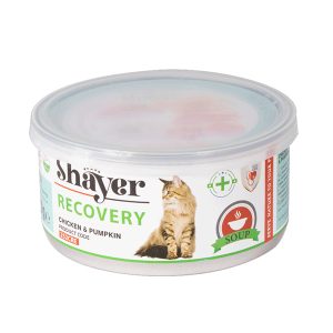 کنسرو ریکاوری گربه با طعم مرغ و کدو حلوایی شایر
