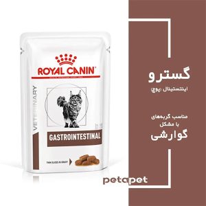 پوچ گربه مدل گسترو