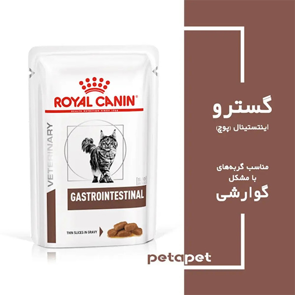 2925487edit پوچ گربه مدل گسترو