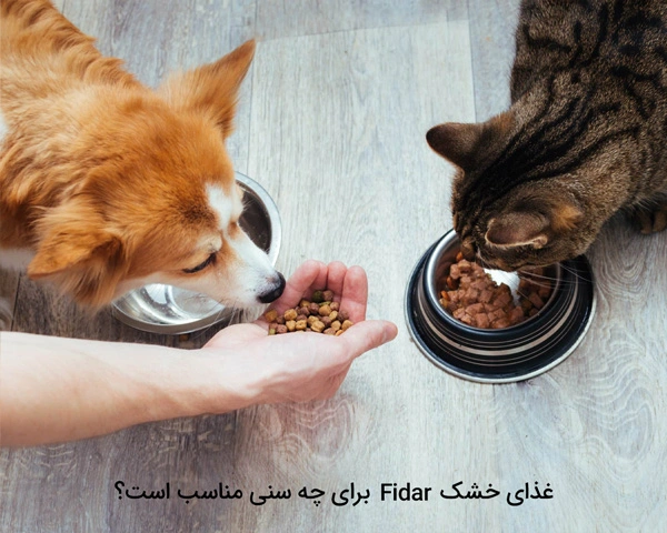 غذای خشک Fidar برای چه سنی مناسب است؟
