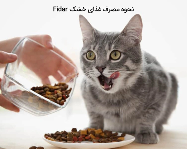 نحوه مصرف غذای خشک Fidar