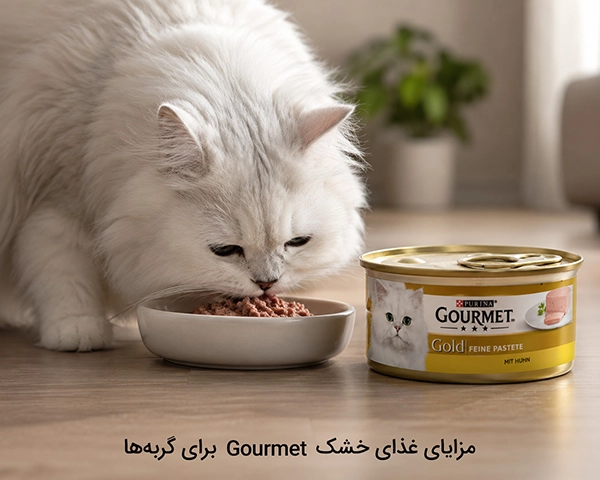 مزایای غذای خشک Gourmet برای گربه‌ها