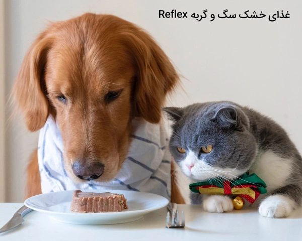 غذای خشک سگ و گربه Reflex