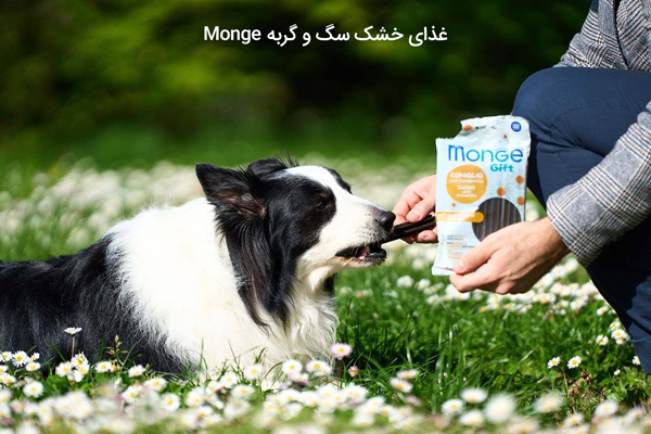غذای خشک Monge