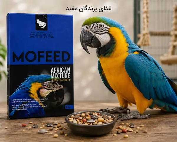 غذای پرندگان مفید